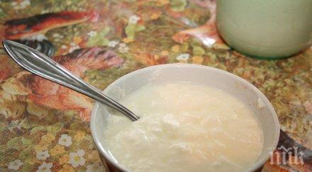 затворът белене търси купувач 000 литра мляко месец