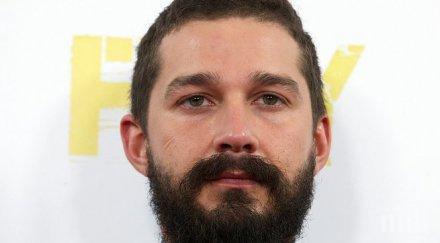 зашиха шева шая лебьоф