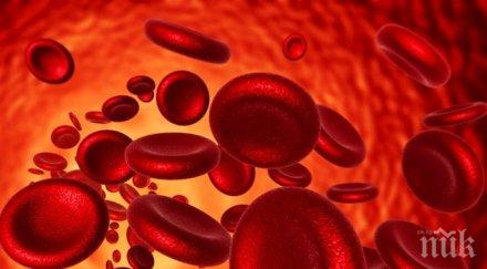 създадоха изкуствени еритроцити