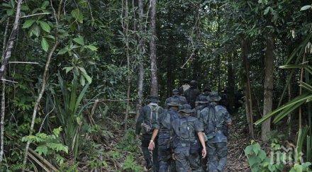 майка бебе оцеляха чудо джунглата самолетна катастрофа