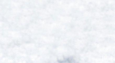 дишайте дълбоко сексапилните ангели