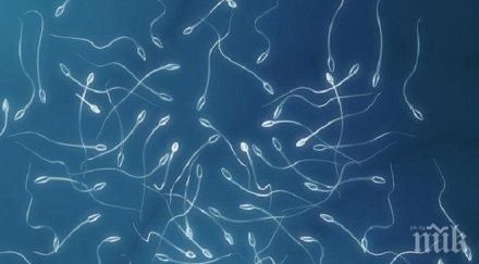 полша въведе закон инвитрото