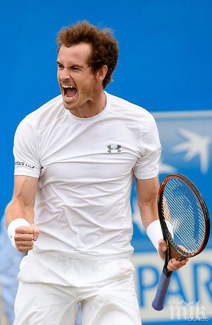 Хенман: Мъри има големи шансове да спечели Уимбълдън