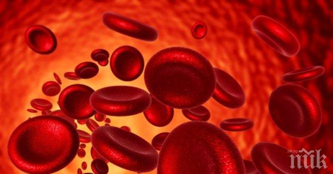 Създадоха изкуствени еритроцити