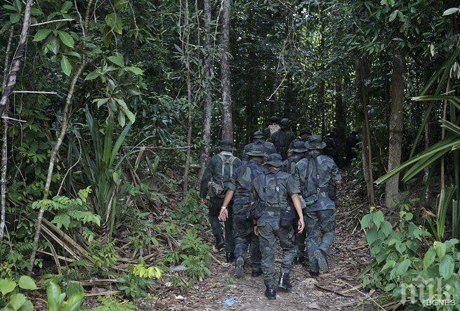Майка и бебе оцеляха по чудо в джунглата след самолетна катастрофа