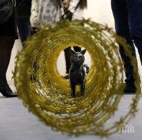 Колекционер си партнира с Института за съвременно изкуство в Лондон