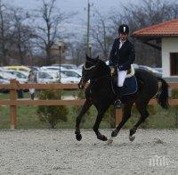 Българин остана на 27 стотни от победа на СК по конен спорт