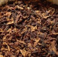 Иззеха нови количества тютюн и цигари при спецоперация в Плевен