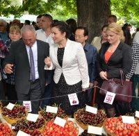 Танева: Производителите на череши ще получат над 1660 лв. на хектар
