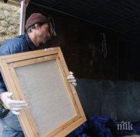 Британски търговец откри неизвестна картина на Моне