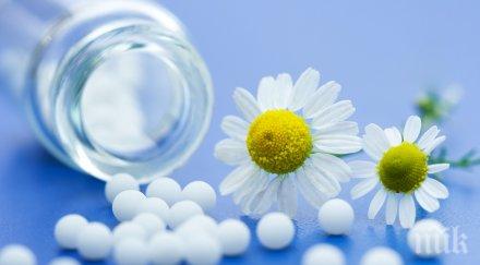 хомеопатията качва защитните сили