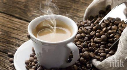 учени препоръчаха кафе вместо виагра импотентност