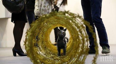 колекционер партнира института съвременно изкуство лондон