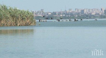 щетите бензиновия разлив бургас ограничени