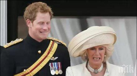 цирк бъкингам камила урежда хари срещи момичета