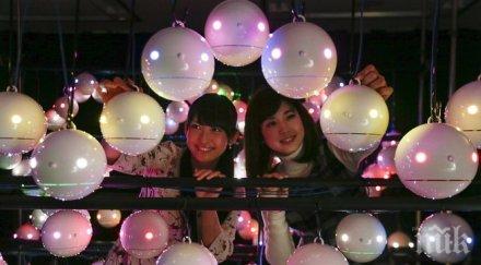 първа сватба роботи света