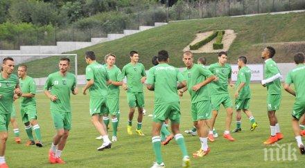 лудогорец проведе първа тренировка австрия