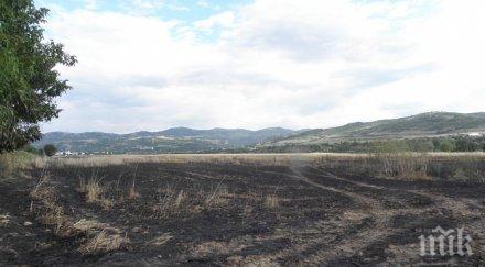 дка жито изгоряха благоевград