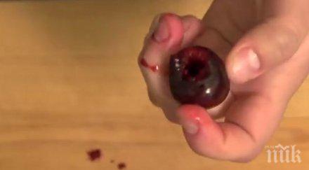 измисли хитър начин секунди отстрани костилката череши вишни