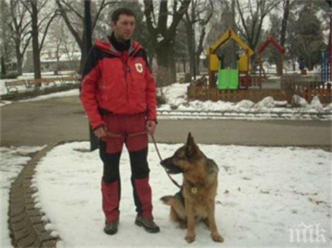 Кучето Гаро, което откри трупа на Мирослава и бе похвалено от Бойко Борисов, е уволнено Кучето Гаро, което откри трупа на Мирослава и бе похвалено от Бойко Борисов, е уволнено