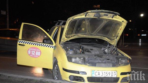 Почти 300 загинали на пътя от началото на годината досега