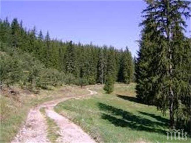 Животновъд скочи срещу продаден път и 4 чешми