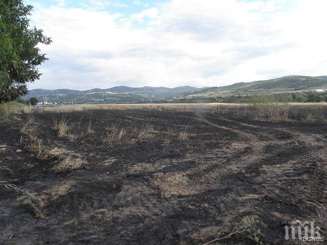 50 дка жито изгоряха край Благоевград