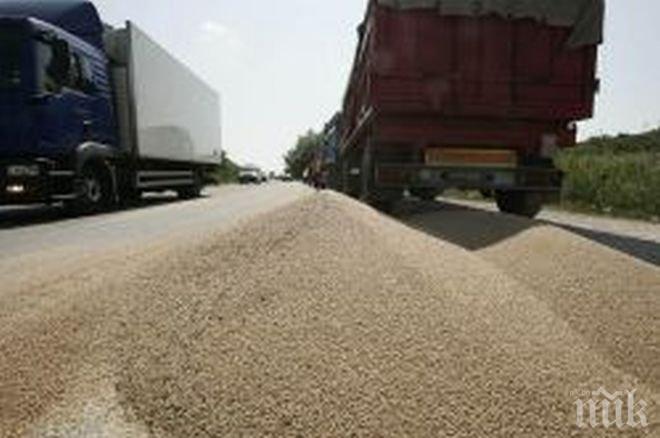 ТИР разпиля 2 тона жито на пътя за Гърция край Петрич
