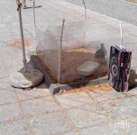 Изградиха дом за ранено бебе гларус в центъра на Варна