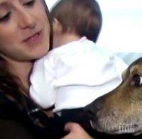 Тяхното куче се събуди на време и по този начин спаси детето им от смъртта
