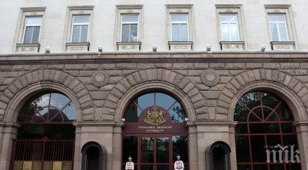 плевнелиев промените конституцията бъдат извършени обикновено