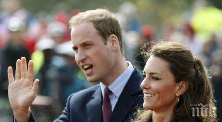 уилям кейт пиха чай анджелина брад