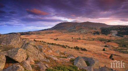 резерват торфено бранище пази историята растителността витоша
