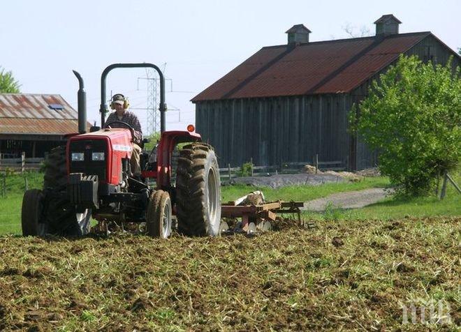 Гръмна фермерска война! Земеделец унищожи четири хиляди декара с реколта във Врачанско, щетите възлизат на 800 бона
