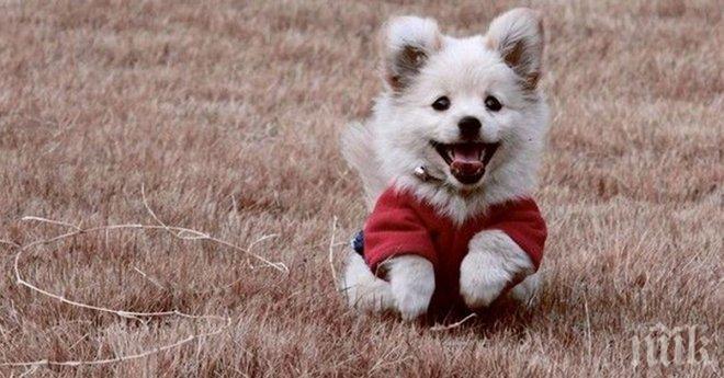 Те ще те заразят със своето щастие! Зареди се с положително настроение и го предай нататък!