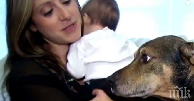 Тяхното куче се събуди на време и по този начин спаси детето им от смъртта