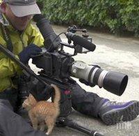 Бездомно коте се сприятелява с фотограф...