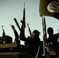 „Ислямска държава“ пое отговорността за атаките на полуостров Синай