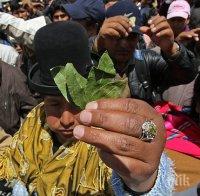 Папата ще дъвче листа от кока в Боливия