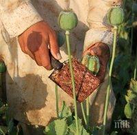 Афганистански генерал арестуван за наркотрафик