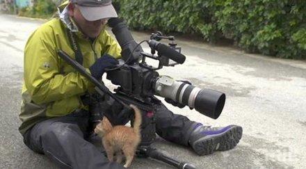 бездомно коте сприятелява фотограф