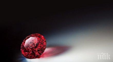 пуснаха продажба редки розови червени диаманти