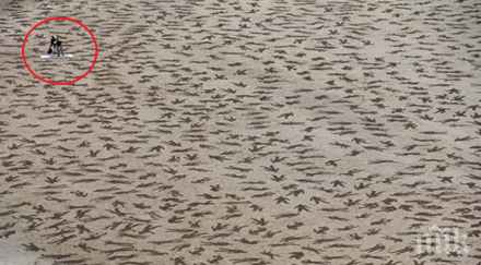 правят хора изумително