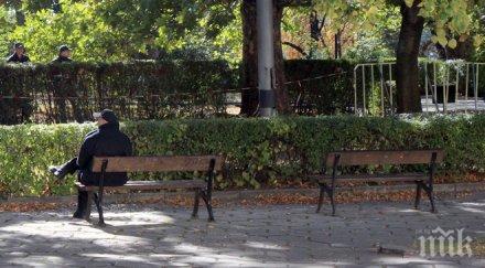 хлапаци трошат пейки видинско