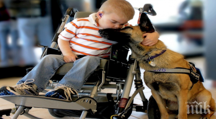 уникални снимки жегнат твоето сърце накарат замислиш малките неща