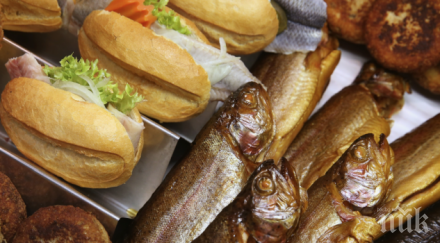 пускат 100 000 пъстърви планинските притоци реките струма места вит