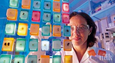 откриха бактерия помага отслабването