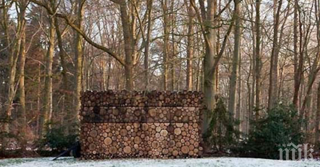 Нещо интересно се случва в гората... Уникално!