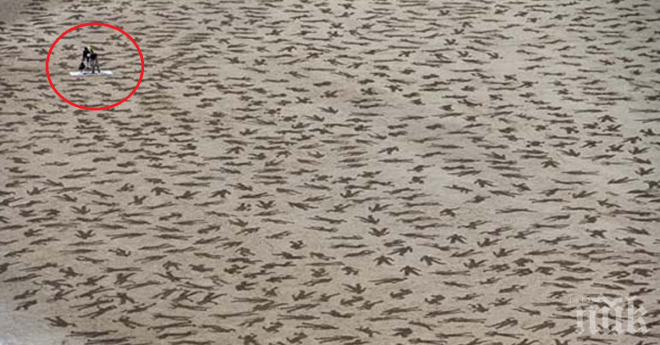 Това, което правят тези хора, е изумително.