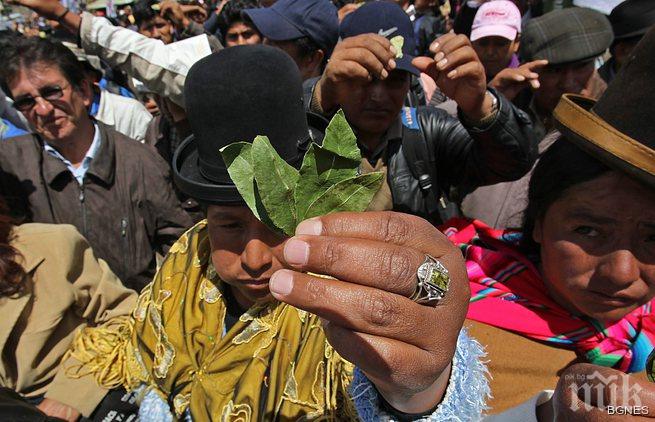 Папата ще дъвче листа от кока в Боливия